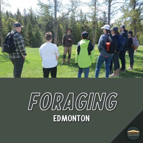 Foraging Walk - Edmonton I